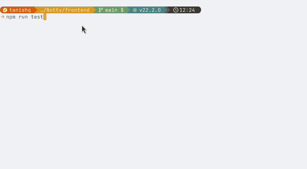 npm run test